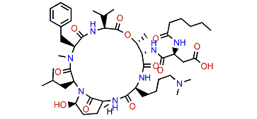 Cyanopeptolin D
